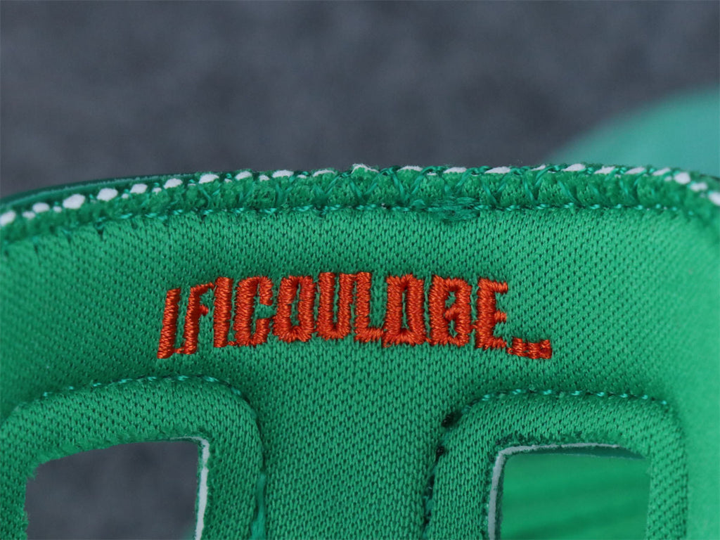 Air Jordan 6 Retro NRG 'Green Suede Gatorade'